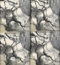 holly’s stempelkunst juni 2021 nummer 15
