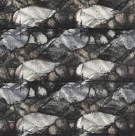 holly’s stempelkunst juni 2021 nummer 24a
