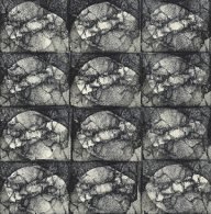 holly’s stempelkunst juni 2021 nummer 2a