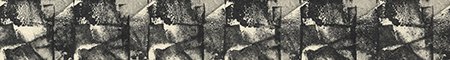 hol stempelt juli nummer 5 hol stempelt juli nummer 5