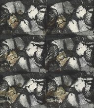 holly’s stempelkunst september 2021 nummer 6