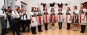 kužełovské zpěvulky