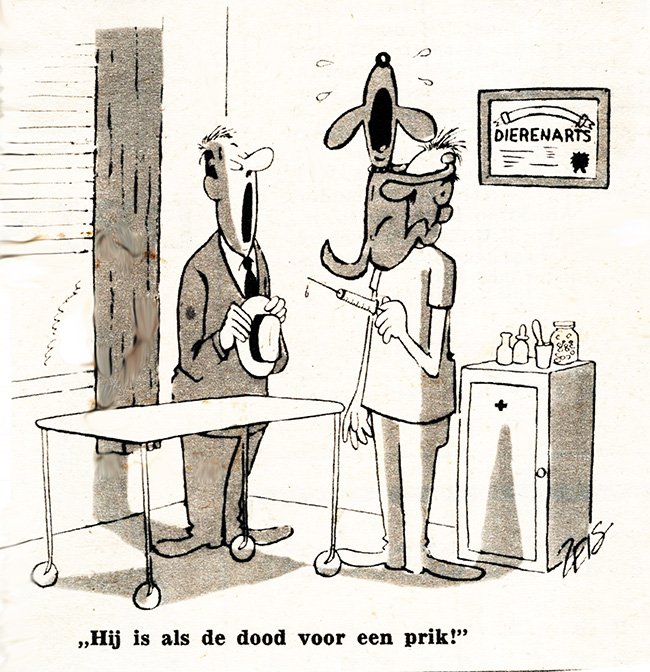 hond