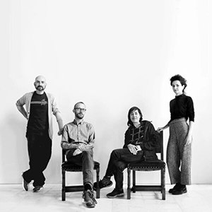 hydra ensemble