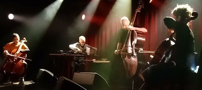 hydra ensemble live
