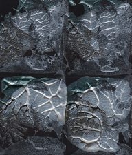 holly’s stempelkunst 2022 nummer 521