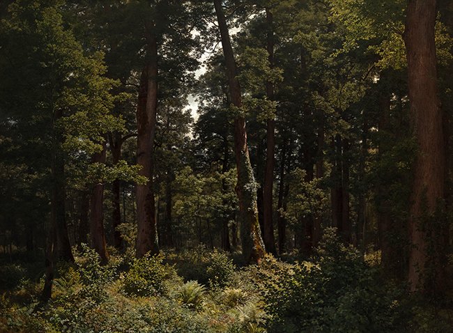 eikenbos