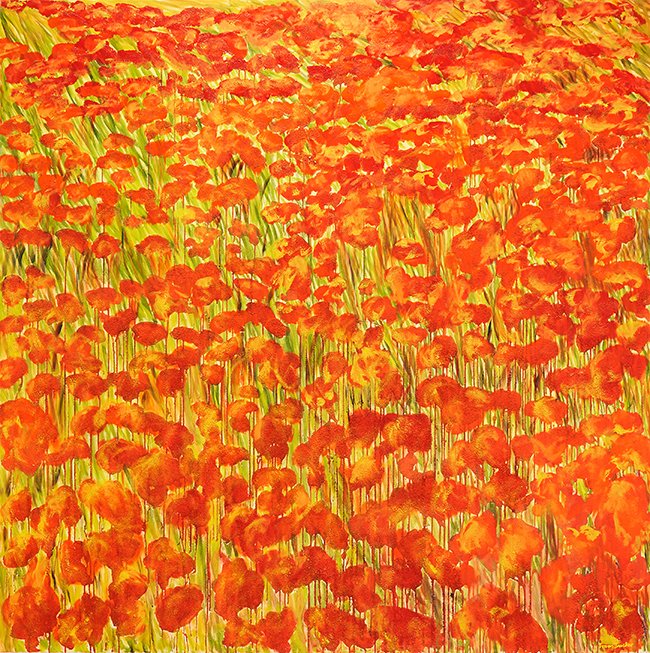 Veld (koolzaad) Veld (koolzaad)