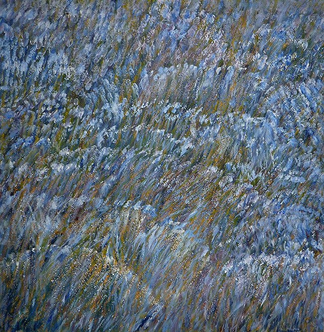 lavendelveld