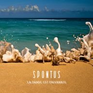 spontus la danse est enivrante