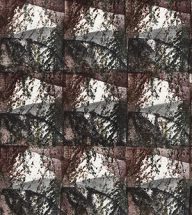 holly’s stempelkunst 2022 nummer 1002