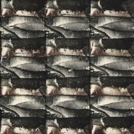 holly’s stempelkunst 2022 nummer 1024