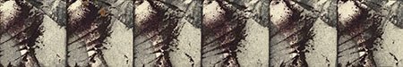 hol stempelt nummer dertien hol stempelt nummer dertien