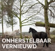 onherstelbaar vernieuwd de mix harry cock en jb schröer