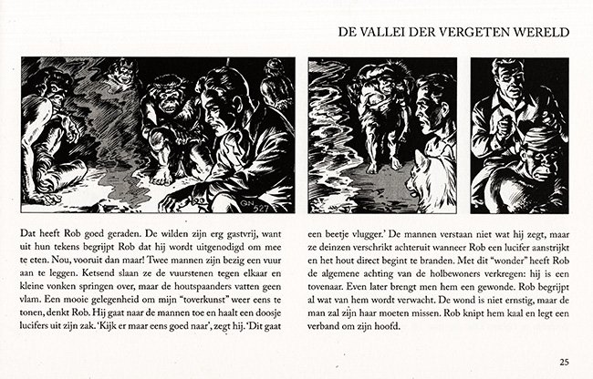 de tovenaar