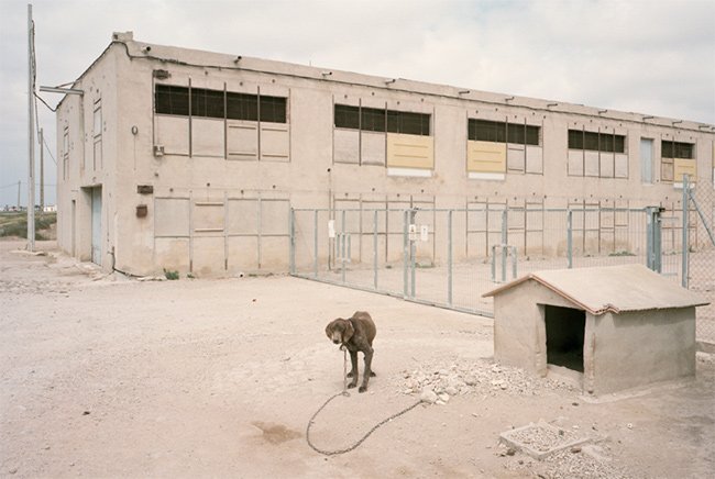 txema salvas the waiting game