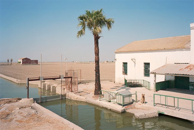 txema salvas the waiting game