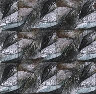 holly’s stempelkunst 2023 nummer 590
