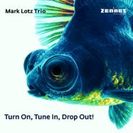 mark lotz trio turn on tune in drop out