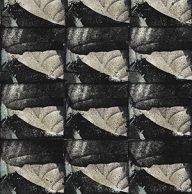 holly’s stempelkunst 2023 nummer 855
