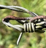 prikkeldraad bij het quintusbos