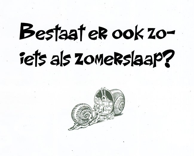 zomerslaap