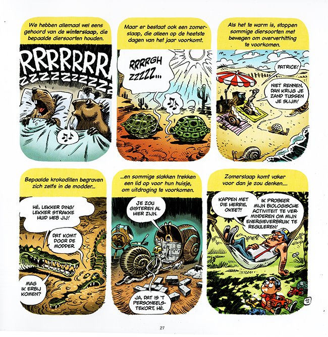 zomerslaap
