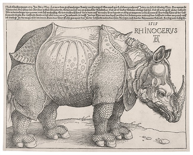 Albrecht Dürer, De Rhinoceros Albrecht Dürer, De Rhinoceros