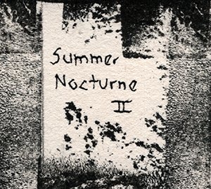 summer nocturne