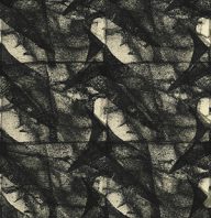 holly’s stempelkunst nummer 5515