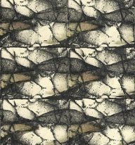 holly’s stempelkunst nummer 5654