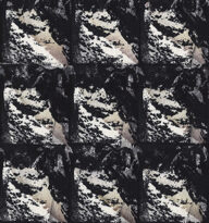 holly’s stempelkunst nummer 5801