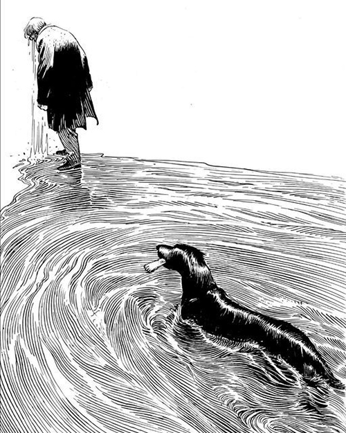 de waterhond