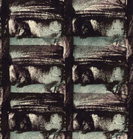 holly’s stempelkunst nummer 6021