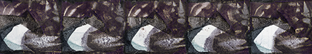 hol stempelt nummer 6059