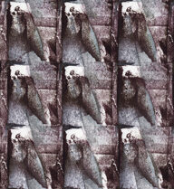 holly’s stempelkunst nummer 6103