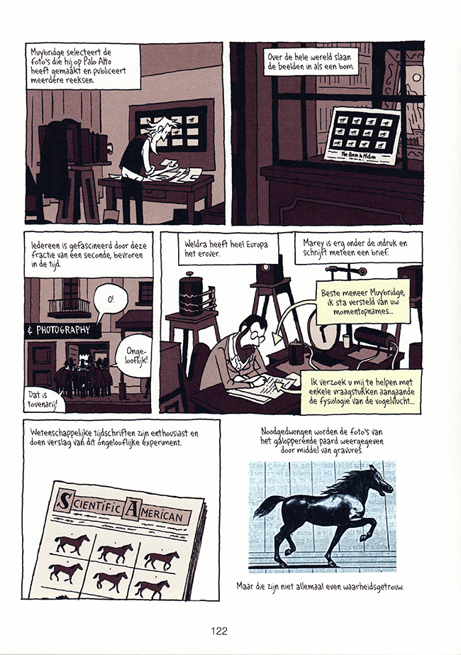 reeksen paarden