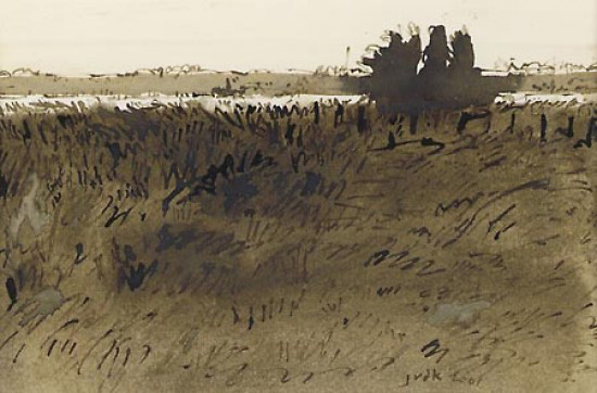 Landschap hij de IJssel,