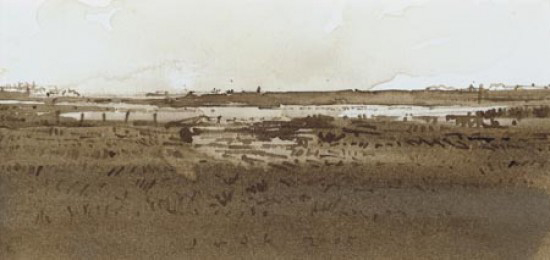 landschap in Zeeland
