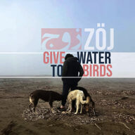 zöj give water to birds