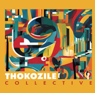 thokozile collective