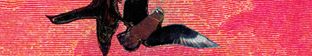 sebastian rojas