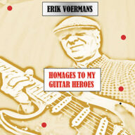 erik voermans homage to david gilmour and other guitar heroes