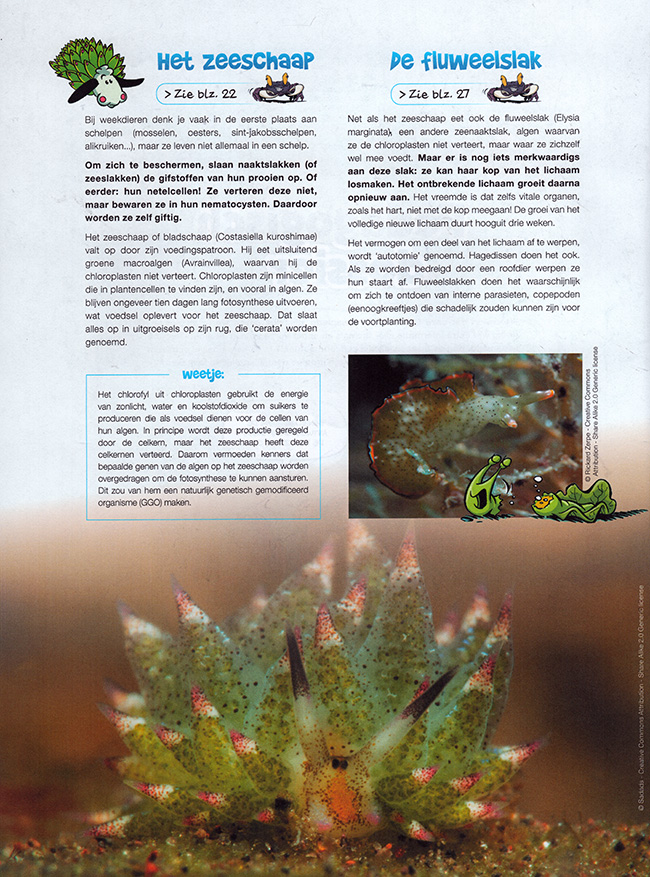 dossier dossier