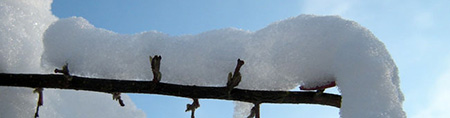 sneeuw