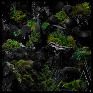 the selva mistérios negros