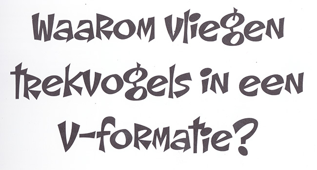 een v-formatie een v-formatie